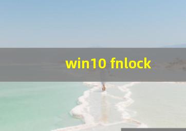 win10 fnlock